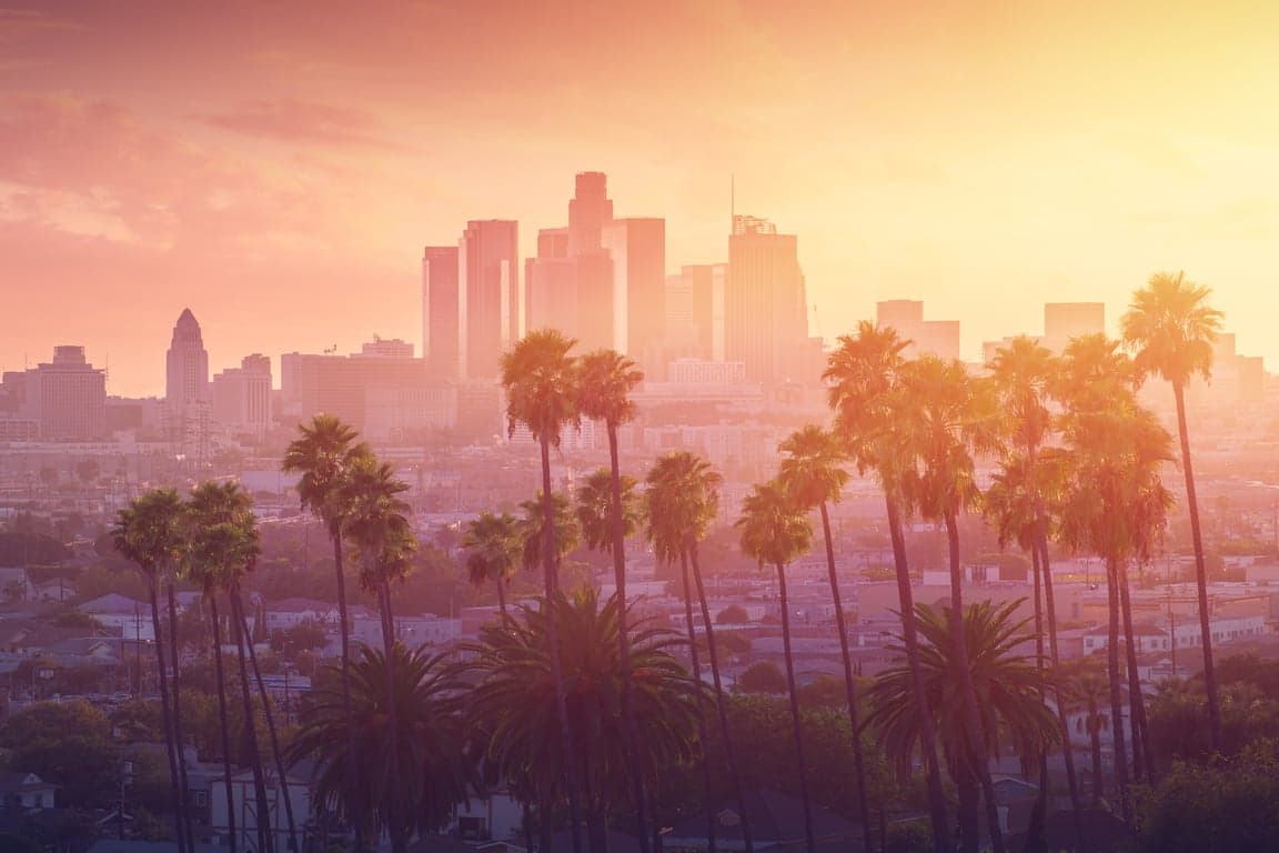 Los Angeles city view